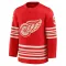Red Men's Nicklas Lidstrom Premium Detroit Red Wings Centennial Jersey