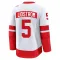 White Men's Nicklas Lidstrom Premium Detroit Red Wings 2025 Stadium Series Jersey